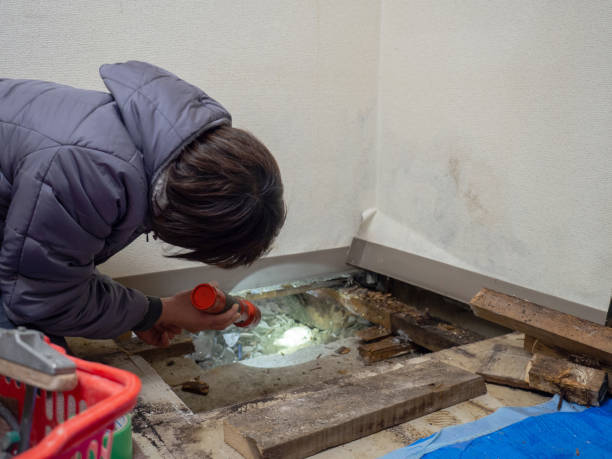 Mold Documentation for Insurance Claims in Glenrock, WY