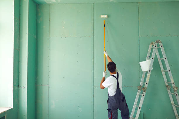 Reliable Glenrock, WY Mold Removal Solutions