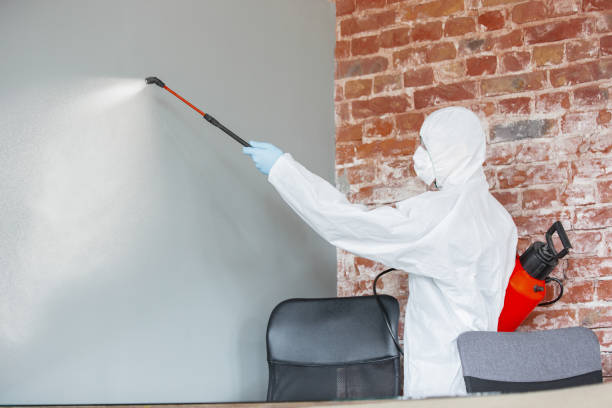 Best Mold Remediation for Healthcare Facilities  in Glenrock, WY