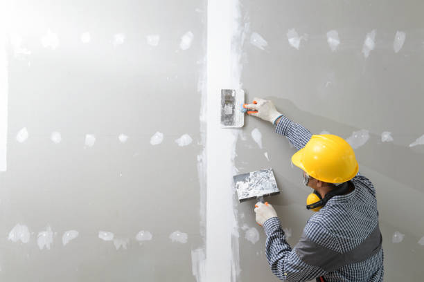 Best Air Quality Testing for Mold Spores  in Glenrock, WY