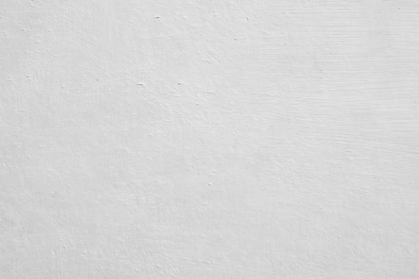 Best Mold Damage Restoration  in Glenrock, WY